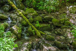 Filename=DSC_2020.jpg
Filesize=33063KiB
Dimensions=7360x4912
Date added=Sep 20, 2019 DSC_2020.jpg