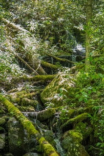 Filename=DSC_2023.jpg
Filesize=31747KiB
Dimensions=4753x7122
Date added=Sep 20, 2019 DSC_2023.jpg