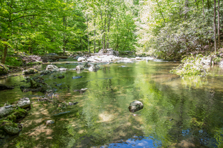 Filename=DSC_2025.jpg
Filesize=29063KiB
Dimensions=7009x4678
Date added=Sep 20, 2019 DSC_2025.jpg