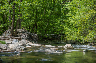 Filename=DSC_2026.jpg
Filesize=29656KiB
Dimensions=7360x4912
Date added=Sep 20, 2019 DSC_2026.jpg