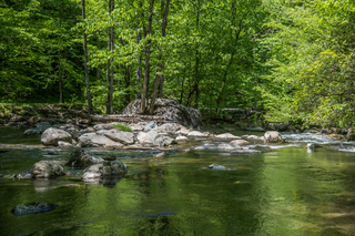 Filename=DSC_2027.jpg
Filesize=32148KiB
Dimensions=7360x4912
Date added=Sep 20, 2019 DSC_2027.jpg