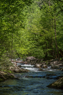 Filename=DSC_2029.jpg
Filesize=34307KiB
Dimensions=4912x7360
Date added=Sep 20, 2019 DSC_2029.jpg