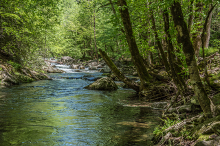 Filename=DSC_2030.jpg
Filesize=36324KiB
Dimensions=7360x4912
Date added=Sep 20, 2019 DSC_2030.jpg