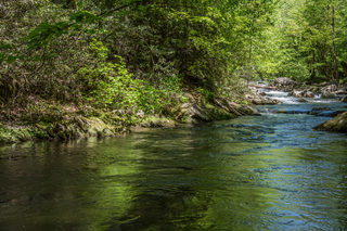 Filename=DSC_2031.jpg
Filesize=33519KiB
Dimensions=7360x4912
Date added=Sep 20, 2019 DSC_2031.jpg