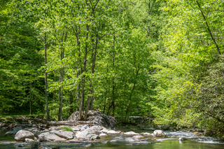 Filename=DSC_2032.jpg
Filesize=34968KiB
Dimensions=7122x4753
Date added=Sep 20, 2019 DSC_2032.jpg