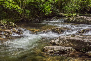 Filename=DSC_2033.jpg
Filesize=39694KiB
Dimensions=7360x4912
Date added=Sep 20, 2019 DSC_2033.jpg