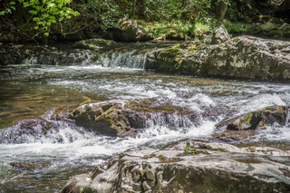 Filename=DSC_2034.jpg
Filesize=29347KiB
Dimensions=7360x4912
Date added=Sep 20, 2019 DSC_2034.jpg