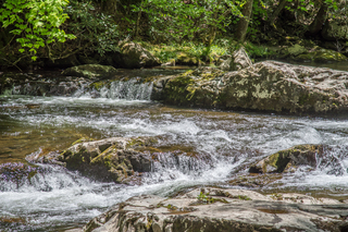 Filename=DSC_2035.jpg
Filesize=31984KiB
Dimensions=7360x4912
Date added=Sep 20, 2019 DSC_2035.jpg