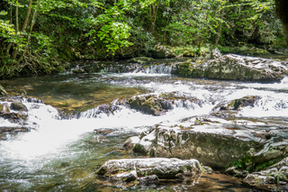 Filename=DSC_2036.jpg
Filesize=28006KiB
Dimensions=7360x4912
Date added=Sep 20, 2019 DSC_2036.jpg