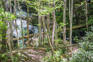 Filename=DSC_2037.jpg
Filesize=33133KiB
Dimensions=7360x4912
Date added=Sep 20, 2019 DSC_2037.jpg