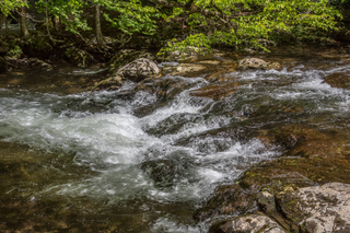 Filename=DSC_2039.jpg
Filesize=36713KiB
Dimensions=7360x4912
Date added=Sep 20, 2019 DSC_2039.jpg