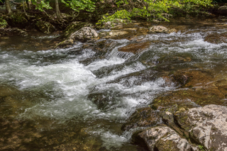 Filename=DSC_2040.jpg
Filesize=37169KiB
Dimensions=7360x4912
Date added=Sep 20, 2019 DSC_2040.jpg