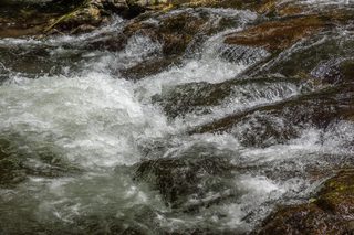 Filename=DSC_2041.jpg
Filesize=30943KiB
Dimensions=7360x4912
Date added=Sep 20, 2019 DSC_2041.jpg