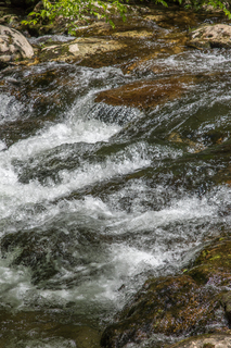 Filename=DSC_2044.jpg
Filesize=27436KiB
Dimensions=4912x7360
Date added=Sep 20, 2019 DSC_2044.jpg