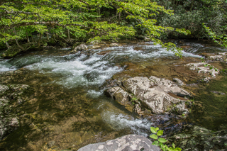 Filename=DSC_2046.jpg
Filesize=36638KiB
Dimensions=7360x4912
Date added=Sep 20, 2019 DSC_2046.jpg