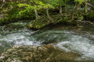 Filename=DSC_2047.jpg
Filesize=27817KiB
Dimensions=7360x4912
Date added=Sep 20, 2019 DSC_2047.jpg