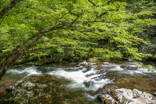 Filename=DSC_2048.jpg
Filesize=35875KiB
Dimensions=7360x4912
Date added=Sep 20, 2019 DSC_2048.jpg