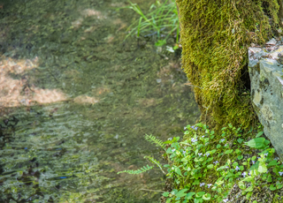 Filename=DSC_2052.jpg
Filesize=15342KiB
Dimensions=4879x3522
Date added=Sep 20, 2019 DSC_2052.jpg