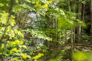 Filename=DSC_2053.jpg
Filesize=25382KiB
Dimensions=7360x4912
Date added=Sep 20, 2019 DSC_2053.jpg