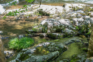 Filename=DSC_2057.jpg
Filesize=30795KiB
Dimensions=7360x4912
Date added=Sep 20, 2019 DSC_2057.jpg