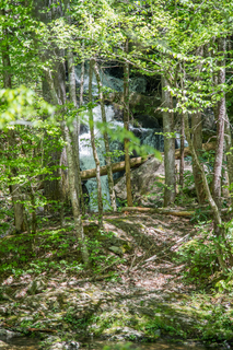 Filename=DSC_2058.jpg
Filesize=30110KiB
Dimensions=4912x7360
Date added=Sep 20, 2019 DSC_2058.jpg