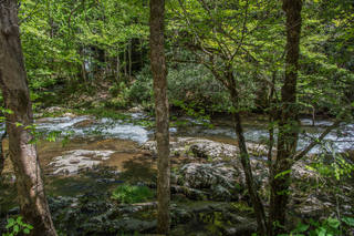 Filename=DSC_2060.jpg
Filesize=33556KiB
Dimensions=7360x4912
Date added=Sep 20, 2019 DSC_2060.jpg