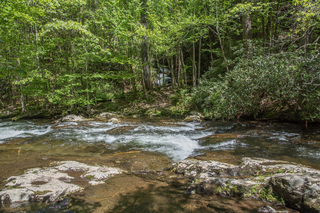 Filename=DSC_2061.jpg
Filesize=34535KiB
Dimensions=7360x4912
Date added=Sep 20, 2019 DSC_2061.jpg