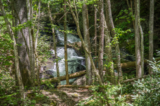 Filename=DSC_2063.jpg
Filesize=28507KiB
Dimensions=7360x4912
Date added=Sep 20, 2019 DSC_2063.jpg