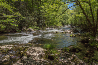 Filename=DSC_2066.jpg
Filesize=39064KiB
Dimensions=7360x4912
Date added=Sep 20, 2019 DSC_2066.jpg