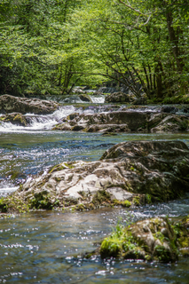 Filename=DSC_2068.jpg
Filesize=28357KiB
Dimensions=4912x7360
Date added=Sep 20, 2019 DSC_2068.jpg