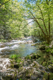 Filename=DSC_2069.jpg
Filesize=38953KiB
Dimensions=4912x7360
Date added=Sep 20, 2019 DSC_2069.jpg