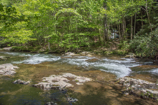 Filename=DSC_2072.jpg
Filesize=37306KiB
Dimensions=7360x4912
Date added=Sep 20, 2019 DSC_2072.jpg