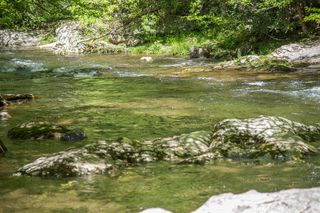 Filename=DSC_2073.jpg
Filesize=21311KiB
Dimensions=6799x4538
Date added=Sep 20, 2019 DSC_2073.jpg