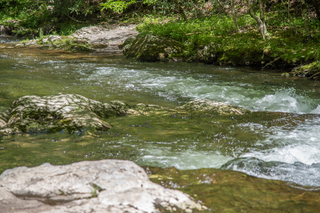 Filename=DSC_2074.jpg
Filesize=19410KiB
Dimensions=7122x4753
Date added=Sep 20, 2019 DSC_2074.jpg