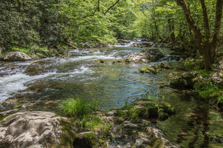 Filename=DSC_2076.jpg
Filesize=38361KiB
Dimensions=7360x4912
Date added=Sep 20, 2019 DSC_2076.jpg