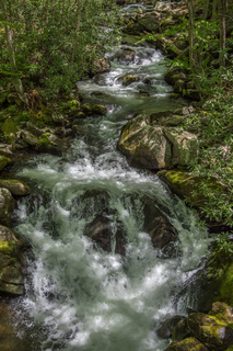 Filename=DSC_2082.jpg
Filesize=30243KiB
Dimensions=4912x7360
Date added=Sep 20, 2019 DSC_2082.jpg