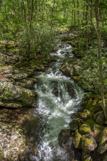 Filename=DSC_2083.jpg
Filesize=34420KiB
Dimensions=4912x7360
Date added=Sep 20, 2019 DSC_2083.jpg