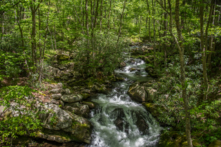 Filename=DSC_2084.jpg
Filesize=33447KiB
Dimensions=7360x4912
Date added=Sep 20, 2019 DSC_2084.jpg