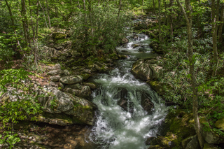 Filename=DSC_2085.jpg
Filesize=26521KiB
Dimensions=6903x4607
Date added=Sep 20, 2019 DSC_2085.jpg