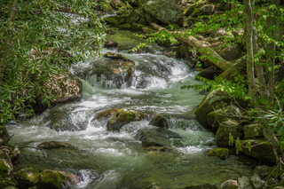 Filename=DSC_2086.jpg
Filesize=28657KiB
Dimensions=7360x4912
Date added=Sep 20, 2019 DSC_2086.jpg