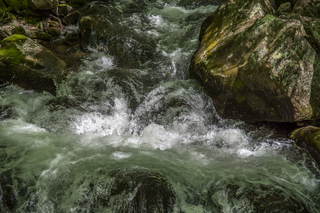 Filename=DSC_2087.jpg
Filesize=26329KiB
Dimensions=7360x4912
Date added=Sep 20, 2019 DSC_2087.jpg