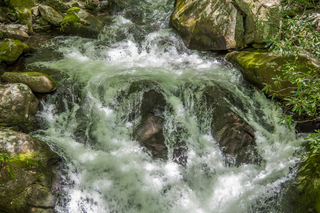 Filename=DSC_2088.jpg
Filesize=25814KiB
Dimensions=7360x4912
Date added=Sep 20, 2019 DSC_2088.jpg