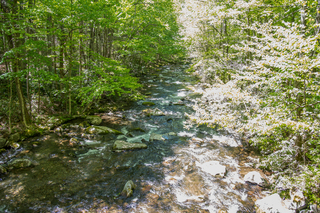 Filename=DSC_2092.jpg
Filesize=32458KiB
Dimensions=7009x4678
Date added=Sep 20, 2019 DSC_2092.jpg