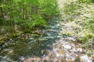 Filename=DSC_2093.jpg
Filesize=35605KiB
Dimensions=7009x4678
Date added=Sep 20, 2019 DSC_2093.jpg