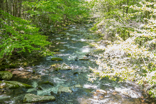 Filename=DSC_2094.jpg
Filesize=32037KiB
Dimensions=7009x4678
Date added=Sep 20, 2019 DSC_2094.jpg