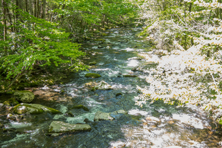 Filename=DSC_2095.jpg
Filesize=31056KiB
Dimensions=7360x4912
Date added=Sep 20, 2019 DSC_2095.jpg