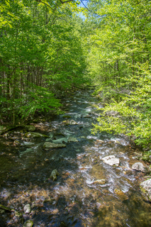 Filename=DSC_2096.jpg
Filesize=43387KiB
Dimensions=4912x7360
Date added=Sep 20, 2019 DSC_2096.jpg