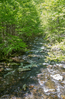 Filename=DSC_2097.jpg
Filesize=30677KiB
Dimensions=4678x7009
Date added=Sep 20, 2019 DSC_2097.jpg