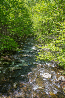 Filename=DSC_2098.jpg
Filesize=40611KiB
Dimensions=4912x7360
Date added=Sep 20, 2019 DSC_2098.jpg