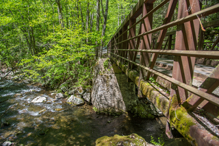 Filename=DSC_2099.jpg
Filesize=32605KiB
Dimensions=7360x4912
Date added=Sep 20, 2019 DSC_2099.jpg